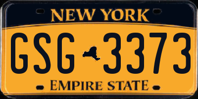 NY license plate GSG3373