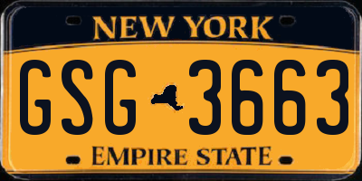 NY license plate GSG3663