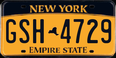 NY license plate GSH4729