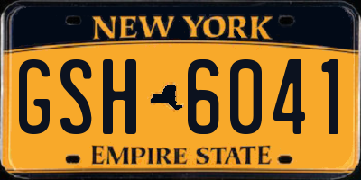 NY license plate GSH6041