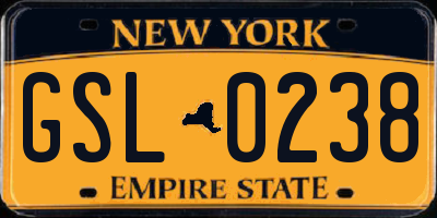 NY license plate GSL0238