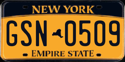 NY license plate GSN0509