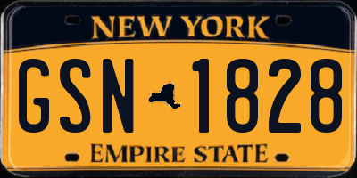 NY license plate GSN1828
