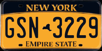NY license plate GSN3229