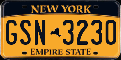 NY license plate GSN3230