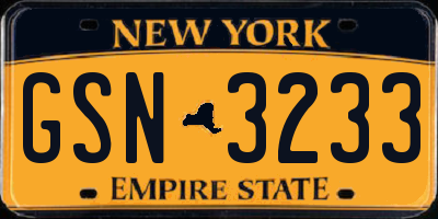 NY license plate GSN3233