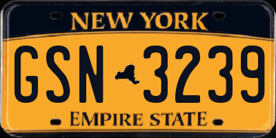 NY license plate GSN3239