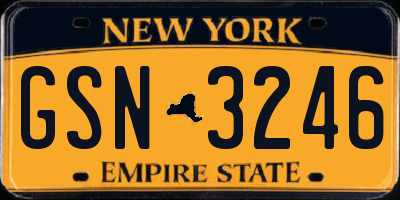 NY license plate GSN3246