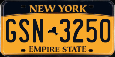 NY license plate GSN3250