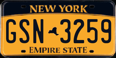 NY license plate GSN3259