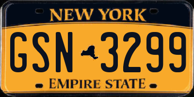 NY license plate GSN3299