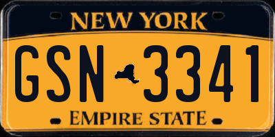 NY license plate GSN3341