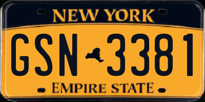 NY license plate GSN3381