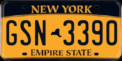 NY license plate GSN3390