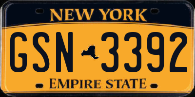 NY license plate GSN3392