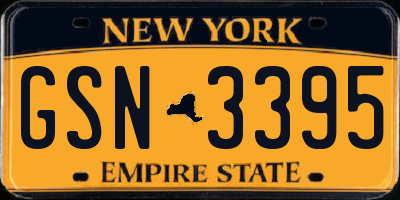 NY license plate GSN3395