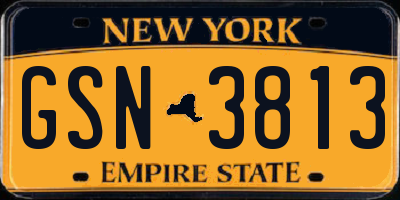 NY license plate GSN3813