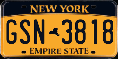 NY license plate GSN3818