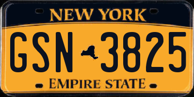NY license plate GSN3825