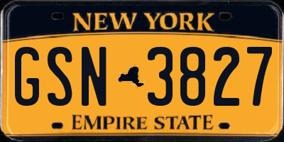 NY license plate GSN3827