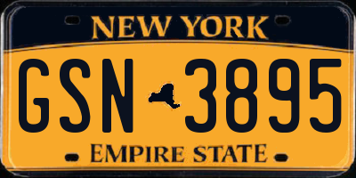NY license plate GSN3895
