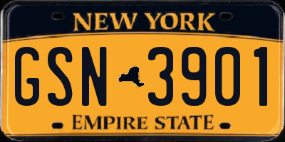 NY license plate GSN3901