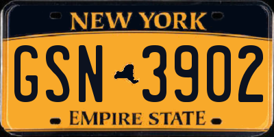 NY license plate GSN3902