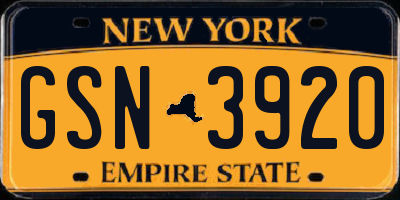 NY license plate GSN3920