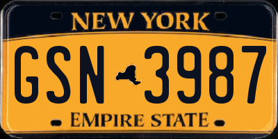 NY license plate GSN3987