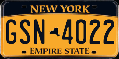 NY license plate GSN4022