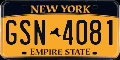 NY license plate GSN4081