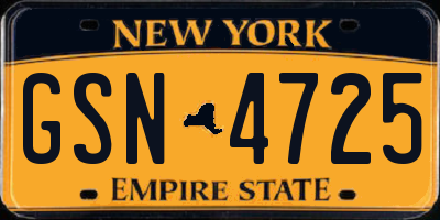 NY license plate GSN4725