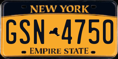 NY license plate GSN4750