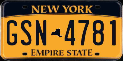 NY license plate GSN4781
