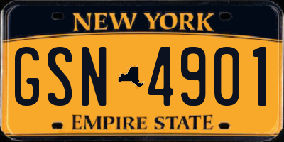 NY license plate GSN4901