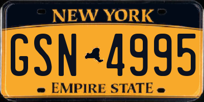 NY license plate GSN4995