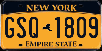NY license plate GSQ1809