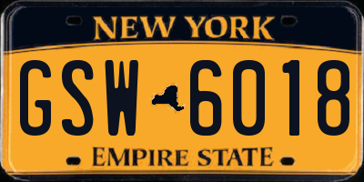 NY license plate GSW6018