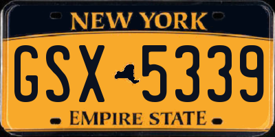 NY license plate GSX5339
