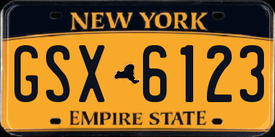 NY license plate GSX6123