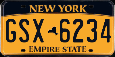 NY license plate GSX6234