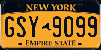 NY license plate GSY9099