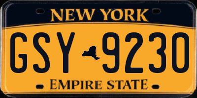 NY license plate GSY9230