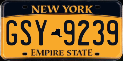 NY license plate GSY9239