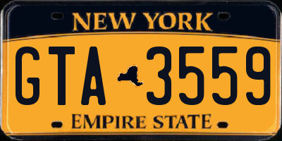 NY license plate GTA3559