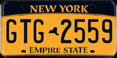 NY license plate GTG2559