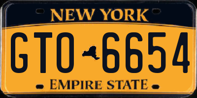 NY license plate GTO6654