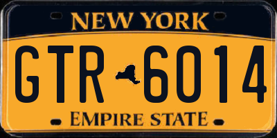 NY license plate GTR6014