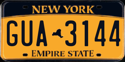 NY license plate GUA3144