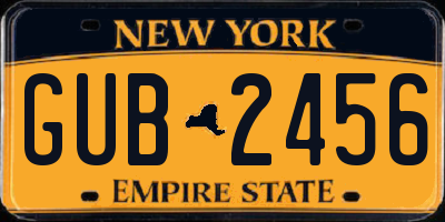 NY license plate GUB2456